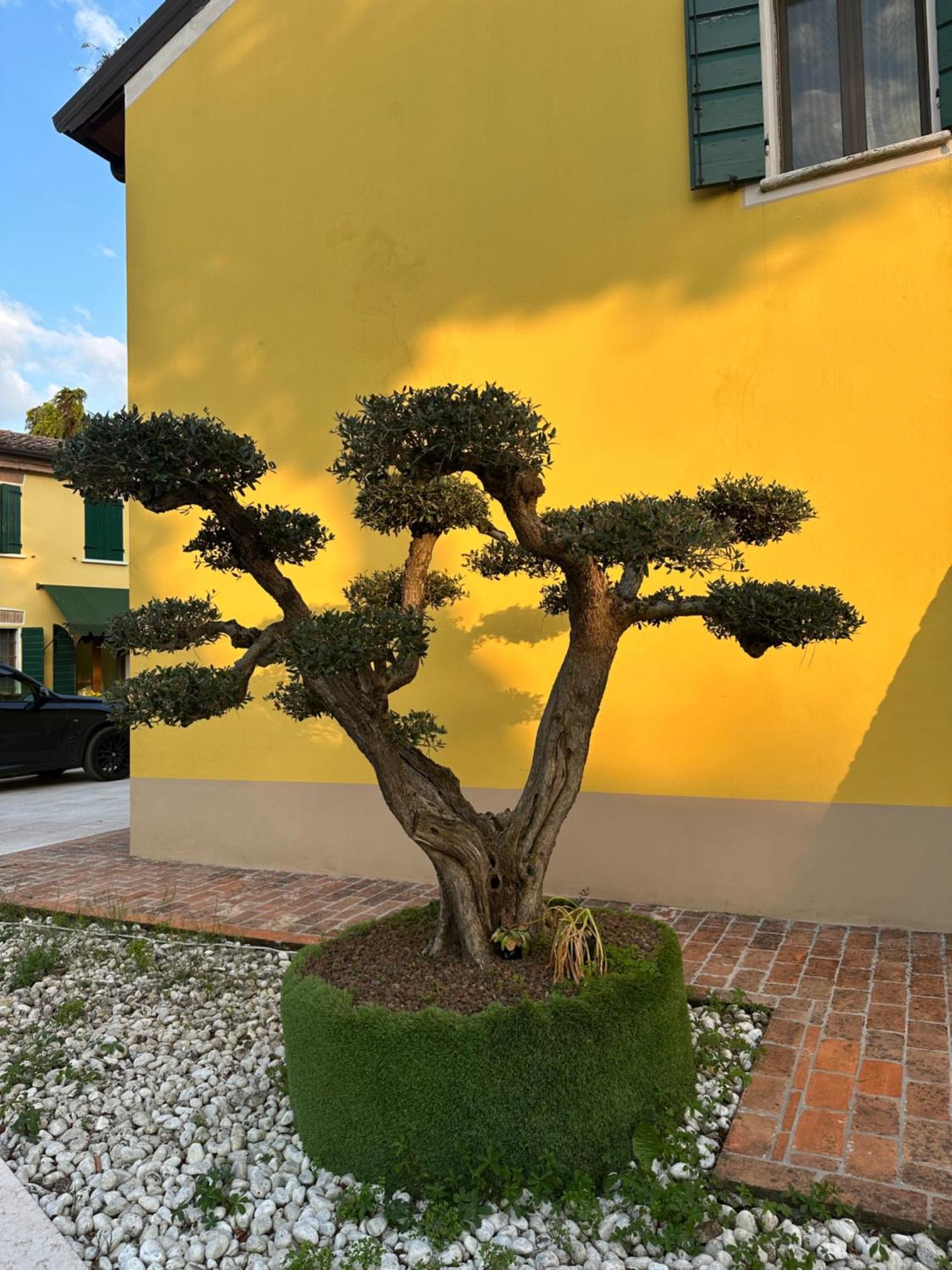 Agriturismo Corte Capiluppia Curtatone Екстер'єр фото