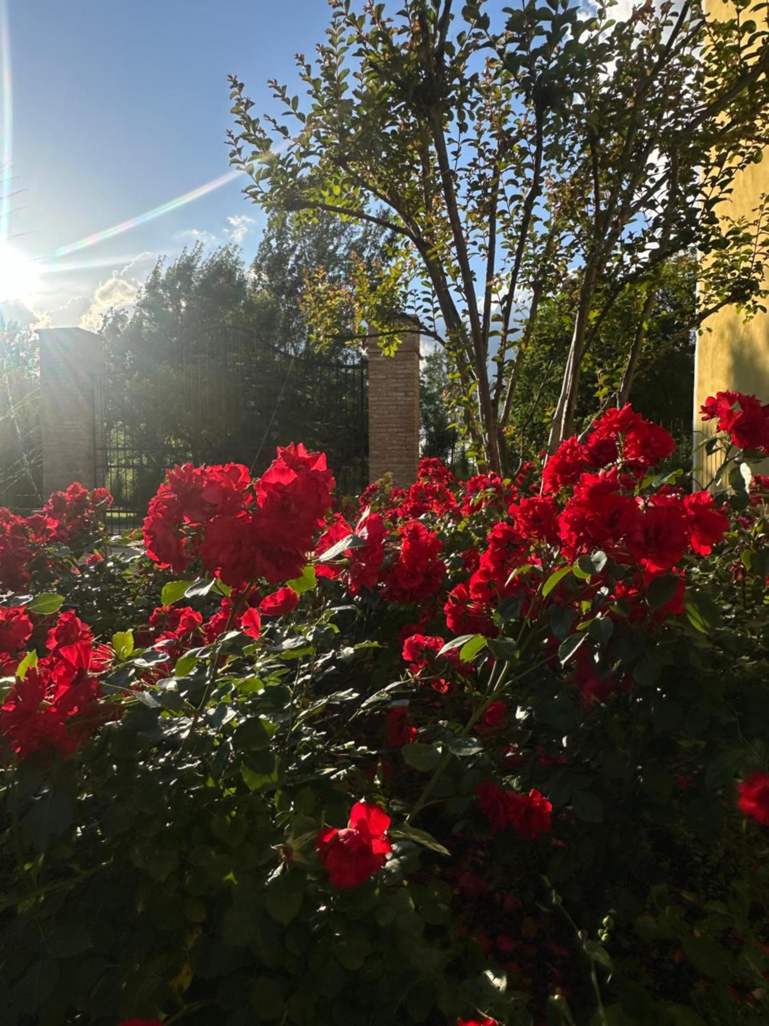 Agriturismo Corte Capiluppia Curtatone Екстер'єр фото