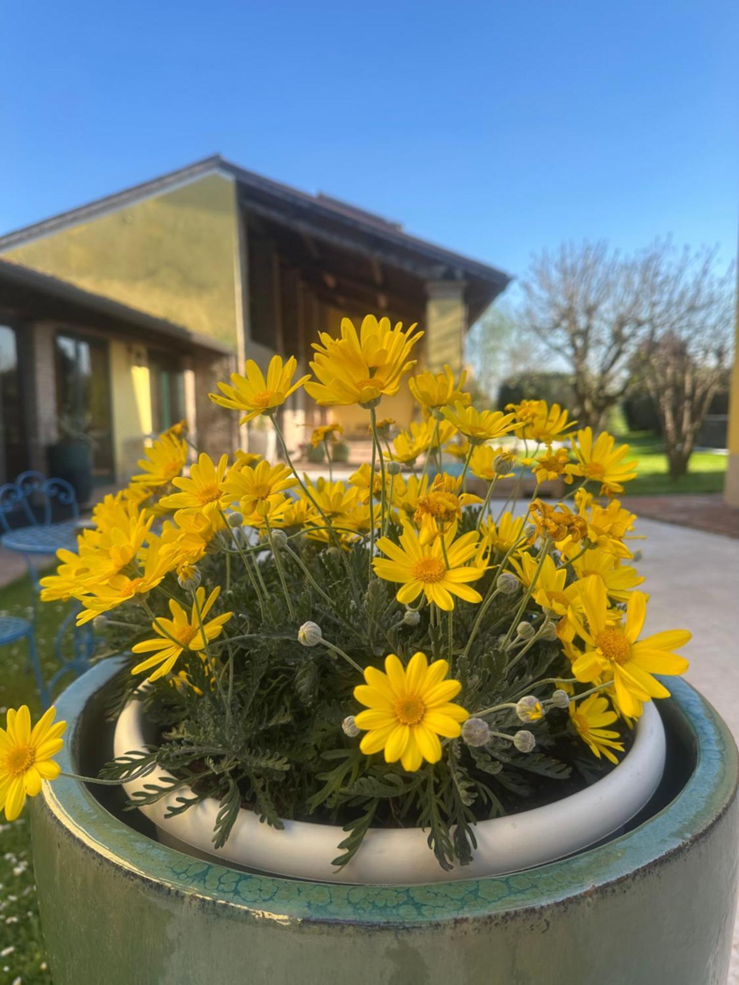 Agriturismo Corte Capiluppia Curtatone Екстер'єр фото