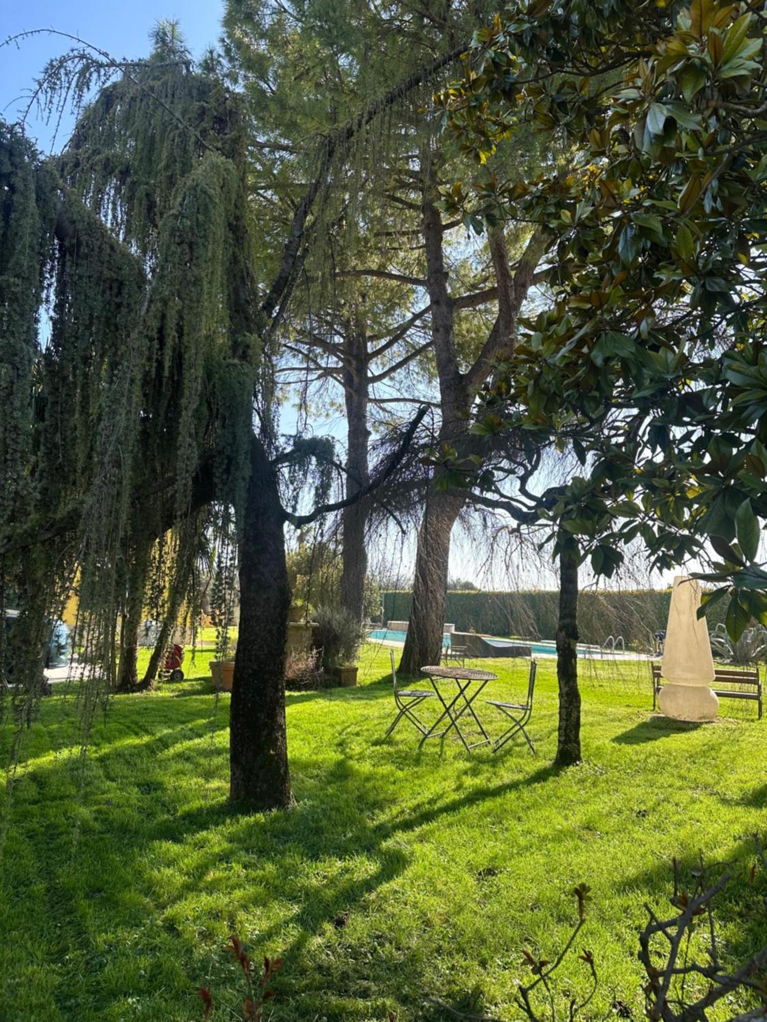 Agriturismo Corte Capiluppia Curtatone Екстер'єр фото